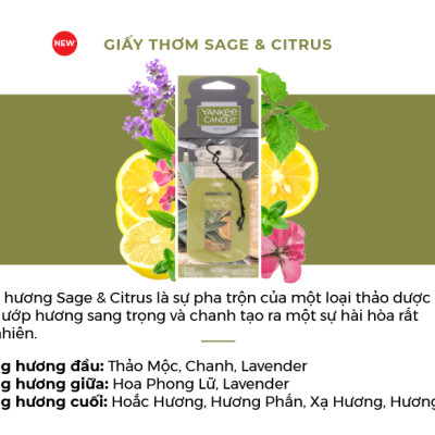 Giấy Thơm Xe Yankee Candle - Sage & Citrus