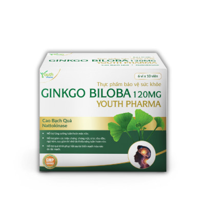 Viên Uống Ginkgo Biloba Youth Pharma Hỗ Trợ Tăng Cường Tuần Hoàn Máu Não. Hộp 60 Viên