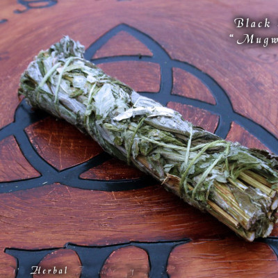 Bó lá xô thơm đen - Black sage - Mugwort