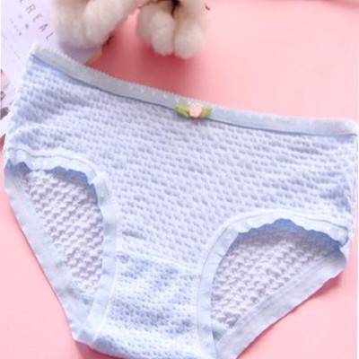 COMBO 05 QUẦN LÓT NỮ TĂM TRE HQ SIÊU ĐẸP, TÔN DÁNG, THOÁNG MÁT QL1605 (Màu ngẫu nhiên)