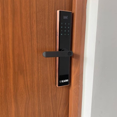 Khóa Vân Tay Kaimi BTM103 Màu Viền Đồng - Hàng Chính Hãng