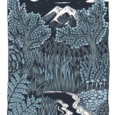 Sách - The Wilderness Collection by Claire Scully (UK edition, Hardcover Paper over boards)