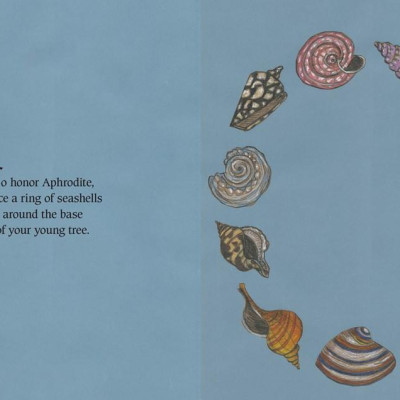 Sách - The Green Witch