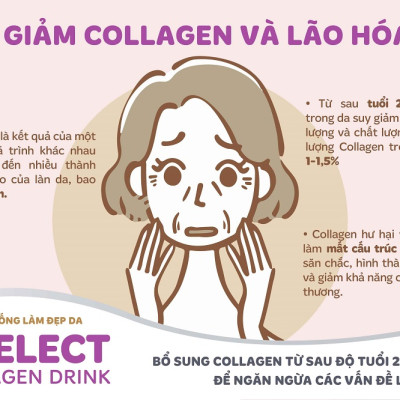 [Mua 1 Tặng 1] Nước Uống Đẹp Da S Select Collagen Drink Collagen Peptide, Chống Lão Hóa Da, Khỏe Tóc & Móng (Hộp 10 lọ)