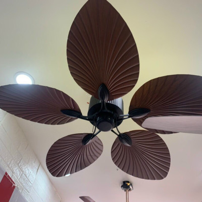 Quạt trần cánh lá cọ Klasse,, không đèn, có điều khiển từ xa, Hàng chính hãng
