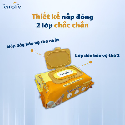 [MUA 2 TẶNG 1] COMBO 2 Khăn ướt Famolife 100 tờ không mùi mềm mịn, dưỡng ẩm vệ sinh cho người lớn