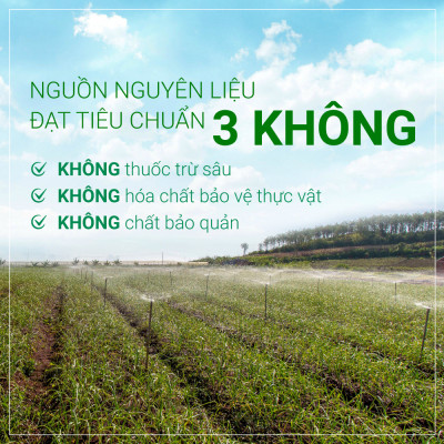 Tỏi Đen Cô Đơn - Combo 4 Hộp Tỏi Kim Cương Đông Á 200g - SX theo công nghệ Nhật Bản, hỗ trợ tốt cho sức khỏe - Kiểm nghiệm chất lượng bởi Bộ Y Tế, Intertek