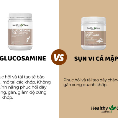 Sụn vi cá mập Healthy Care Shark Cartilage Tăng cường sức khỏe xương khớp, Tăng chức năng vận động - QuaTangMe Extaste