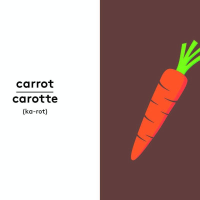 Sách - First Words - French by Lonely Planet Kids (US edition, paperback)