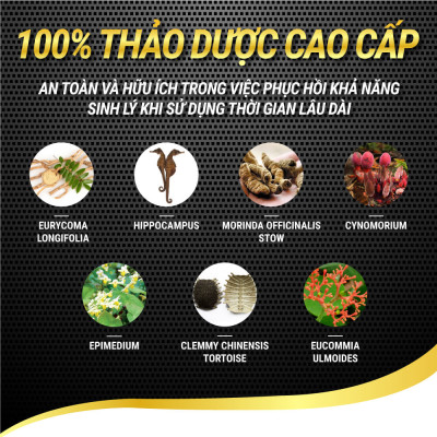 Viên uống phục hồi và tăng cường sức khỏe sinh lý nam giới Powergra Rino - Vỉ dùng thử 1 viên