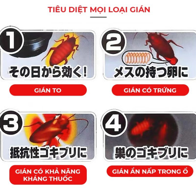 Thuốc Diệt Gián Hộp 12 Viên, Diệt Tận Gốc, Dễ Sử Dụng, Tác Dụng Lâu Dài, An Toàn