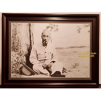 ẢNH GỐC ĐEN TRẮNG BÁC HỒ NGỒI DƯỚI GỐC CÂY HÚT THUỐC 