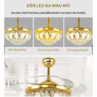 Quạt trần trang trí, cánh cụp cánh xòe, có điều khiển từ xa