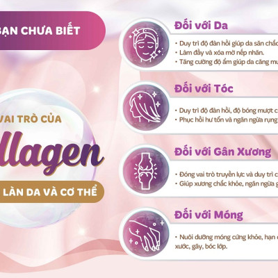 [Mua 1 Tặng 1] Nước Uống Đẹp Da S Select Collagen Drink Collagen Peptide, Chống Lão Hóa Da, Khỏe Tóc & Móng (Hộp 10 lọ)