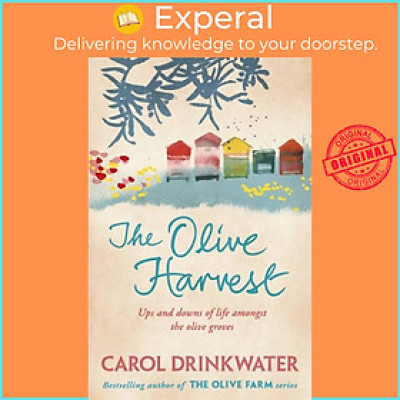 Sách - The Olive Harvest - A Memoir of Love, Old Trees, and Olive Oil by Carol Drinkwater (UK edition, paperback)