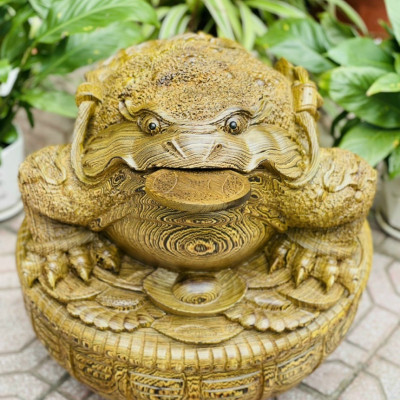  Tượng Cóc ,thiềm thừ ngậm tiền vàng ,phong thủy hút tài lộc  bằng gỗ mun đuôi công kt cao 40×46×48cm