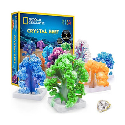 Đồ Chơi Bộ Thí Nghiệm Nuôi San Hô Tinh Thể Nat Geo STEAM RTCRYSHAB