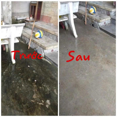Bột Tẩy Rong Rêu Mạnh – Xử Lý Rong Rêu Lâu Năm, Tường Gạch, Sân Nền Trơn Trượt