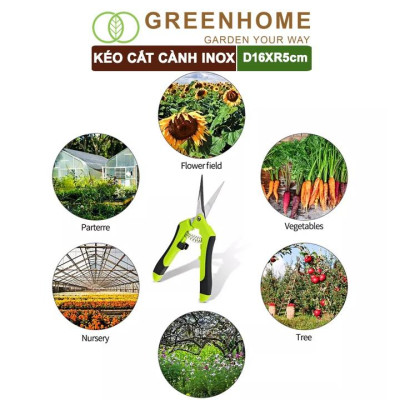 Kéo Cắt Cành GreenHome, D16,5xR4,5cm, Inox, Mũi Nhọn, Siêu Bén, Không Gỉ, Có Khoá An Toàn, Nhiều Màu Lựa Chọn