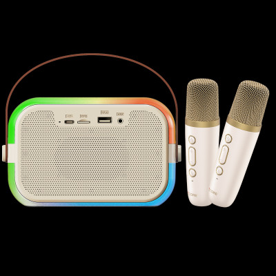 Bộ Loa Karaoke mini Bluetooth iCore ISM69 kèm 02 Micro - Hàng Chính Hãng