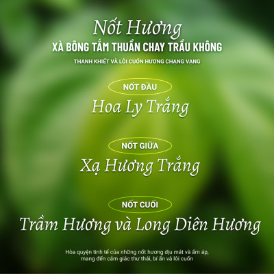 Xà Bông Tắm Thuần Chay Cao Cấp Lá Trầu Không Heebee