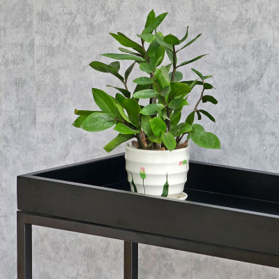 Kệ trang trí hành lang gỗ cao su khung sắt Juno sofa CSTCT068 100x30x88 cm 