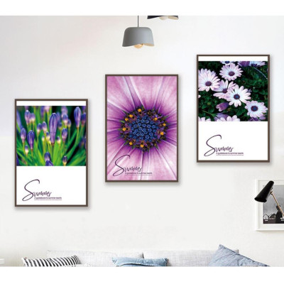 TRANH BỘ 3 TREO TƯỜNG CỠ ĐẠI (30 x 45cm x3 bức) - PHONG CÁCH BẮC ÂU- XƯƠNG RỒNG  KÈM KHUNG - TB30809KK7