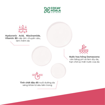 Nước Hoa Hồng Đậu Đỏ Việt Nam Cỏ Cây Hoa Lá, Toner Cho Mẹ Bầu Cấp Ẩm, Dưỡng Sáng và Làm Mềm Da 150gr