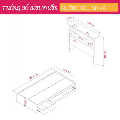 Giường gỗ cho bé 1m2 kết hợp giá sách hiện đại SMLIFE Shiva