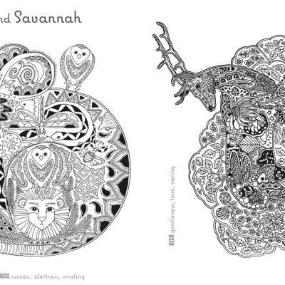 Sách - Color Yourself to Calmness - And reduce stress with your animal spiri by Sue Coccia (US edition, Trade Paperback)