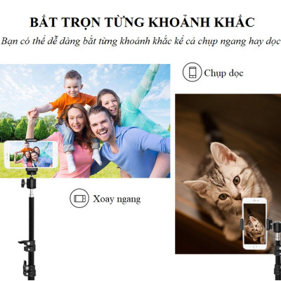 Giá đỡ tripod cao cấp 3 chân kéo cao 2m gắn đèn led, hỗ trợ livestream, chụp hình, quay video, kèm dây đeo điện thoại TiMa.lala - Hàng chính hãng
