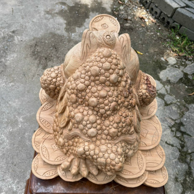 Tượng cóc thiềm thừ ngậm tiền vàng phong thủy hút tài lộc bằng gỗ ngọc am thơm phức kt 40×38×31cm