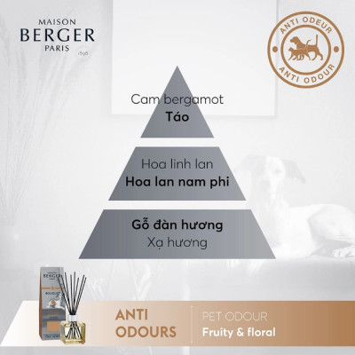 Maison Berger - Bộ tinh dầu xe hơi, khử mùi thú cưng hương Fruity & Floral - 2 cái