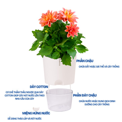 Chậu tự tưới A712 Monrovia thông minh, tiện lợi, trang trí không gian trong nhà, nhiều màu sắc