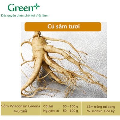 Nhân sâm Wisconsin Hoa Kỳ - Nguyên củ và Cắt lát