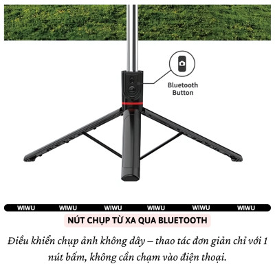 Gậy chụp ảnh selfie tự sướng kiêm tripod 3 chân, đèn Flash trợ sáng hiệu WlWU Wi-SEO15 - Tích hợp remote control bluetooth, Xoay 360 độ, thân nhôm, kéo dài 1,8m, chắc chắn, bền bỉ, gập gọn, pin sạc type C cho iPhone Oppo Samsung - Hàng nhập khẩu