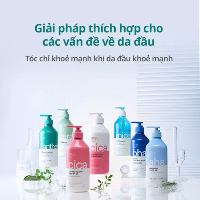 Dầu gội và dầu xả phục hồi tóc hư tổn giảm bết Derma & More CERAMIDE giảm gãy rụng, dưỡng tóc bóng khỏe 600ml