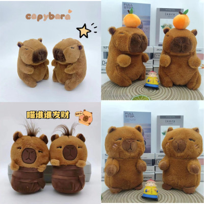 Thú nhồi bông capybara nhiều mẫu mini - Size 20 đến 22cm - Quà tặng chuột lang dễ thương êm mịn cho bé.