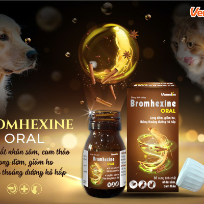 Vemedim Bromhexine Uống Hỗ trợ về Hô hấp, giúp Giảm Ho, Long Đờm cho Chó Mèo - Chai 30ml