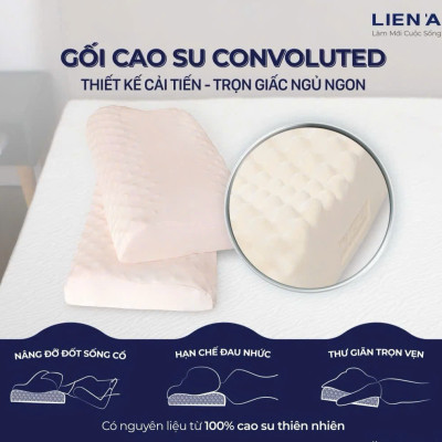 Gối Cao Su Liên Á Massage Convoluted LAGM3860 (38 x 60 x 12 cm) - Trắng (Giao mẫu ngẫu nhiên)
