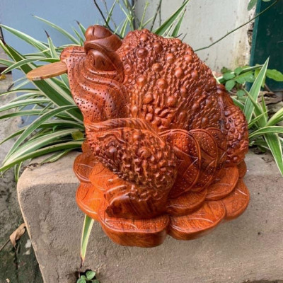 Cóc ngậm đồng tiền bằng gỗ hương đá kt 20×16×13cm