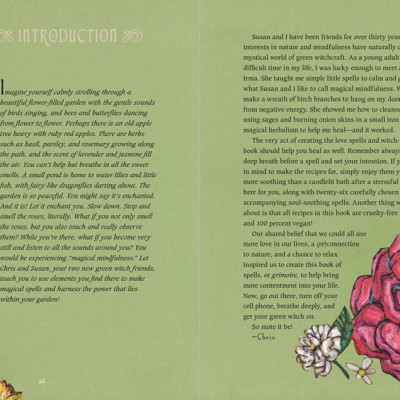 Sách - The Green Witch