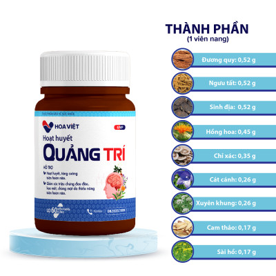 Hoạt Huyết Bổ Não Quảng Trí Hoa Việt - Hỗ trợ tuần hoàn não, bổ não, cải thiện trí nhớ hộp 30 viên