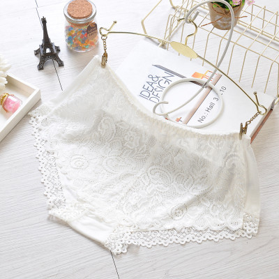 Quần Lót Nữ Nguyên Ren Cao Cấp 333 – Siêu Mềm, Co Giãn 4 Chiều, Ôm Dáng Thon Gọn