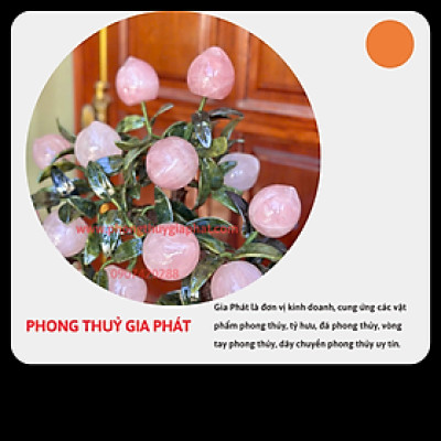 Cây đào phong thuỷ thạch anh hồng 18 quả|phongthuygiaphat
