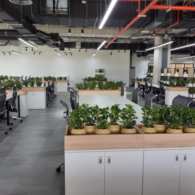 Khoá số DL12 công nghệ Singapore dành cho Tủ Locker gỗ (Locker & Lock)