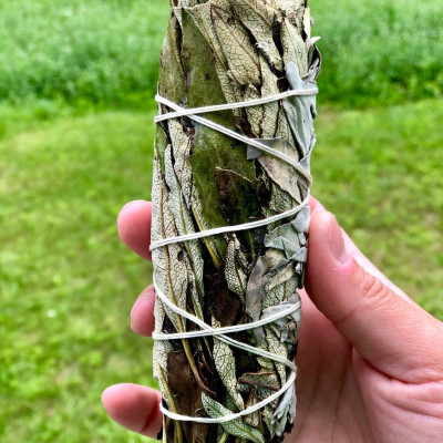 Bó lá xô thơm trắng và lá thánh (white sage + Yerba Santa)