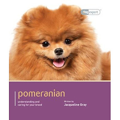 Sách - Pomeranian - Dog Expert by Jacqueline Gray (UK edition, paperback)