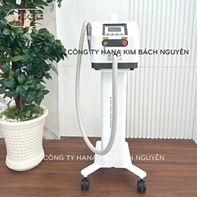 Máy Xóa Xăm Loại Bỏ Sắc Tố Da RG 193+ ND YAG