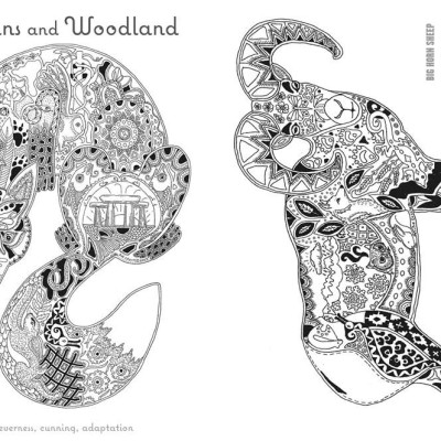 Sách - Color Yourself to Calmness - And reduce stress with your animal spiri by Sue Coccia (US edition, Trade Paperback)